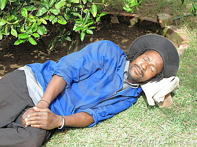 black-garden-worker-sleeping-9274407