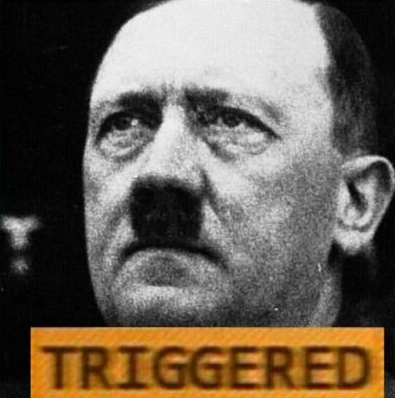 hitler triggered