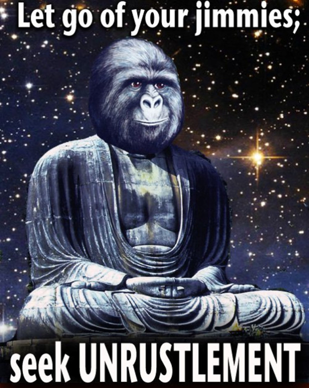 f51a60a2282c4d4319484689d17613ef6910aaf8