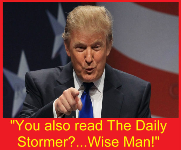 trumpstormer