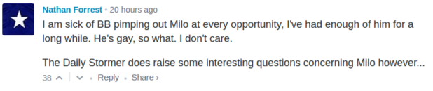 daily-stormer_999315