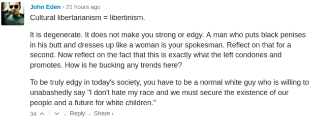 daily-stormer_999316