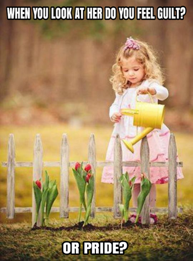 ca13ebda3868eb2e45b0ab0c8594c6072fb14897