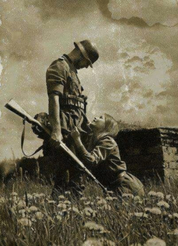 daily-stormer_999644