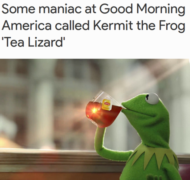 daily-stormer_999762