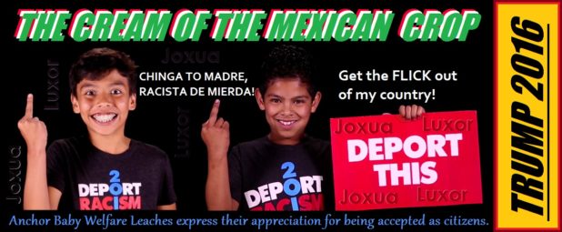 wetbackcream-of-the-crap