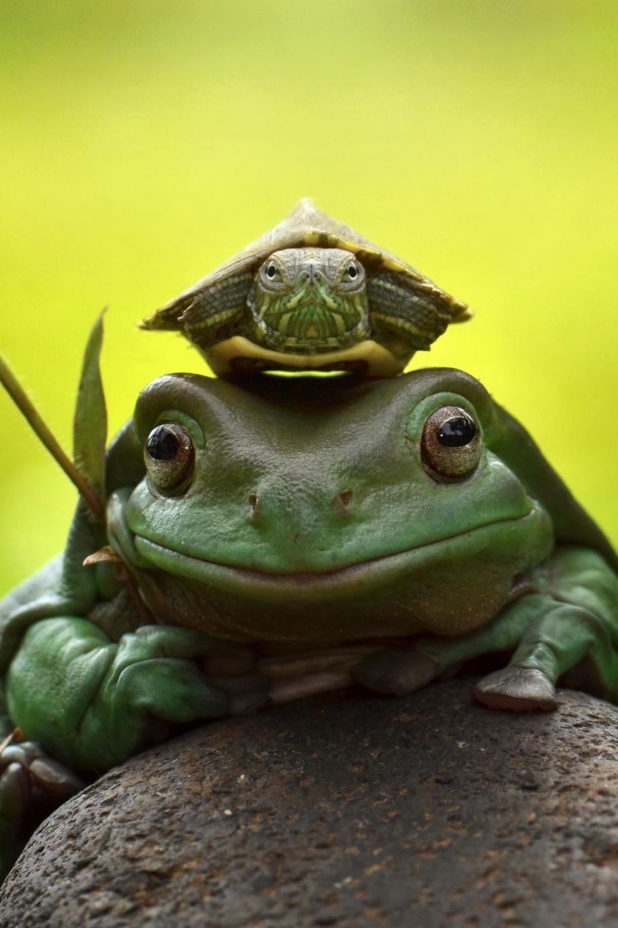 1c3a6444336f71a300e2fe3489364fad