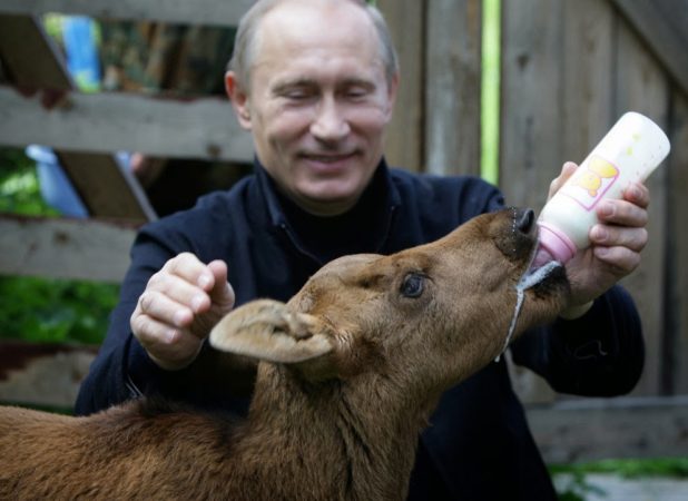 2457549-6301099300-putin