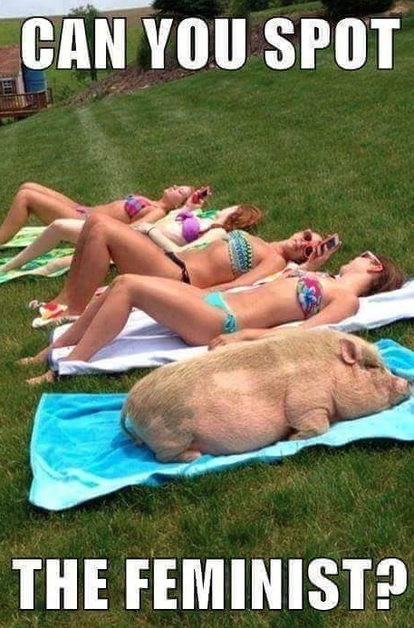 screen-shot-2016-12-11-at-2-31-32-pm