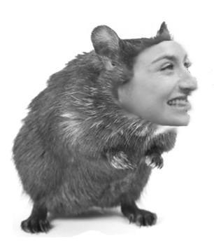 wpid-wp-1415074299613