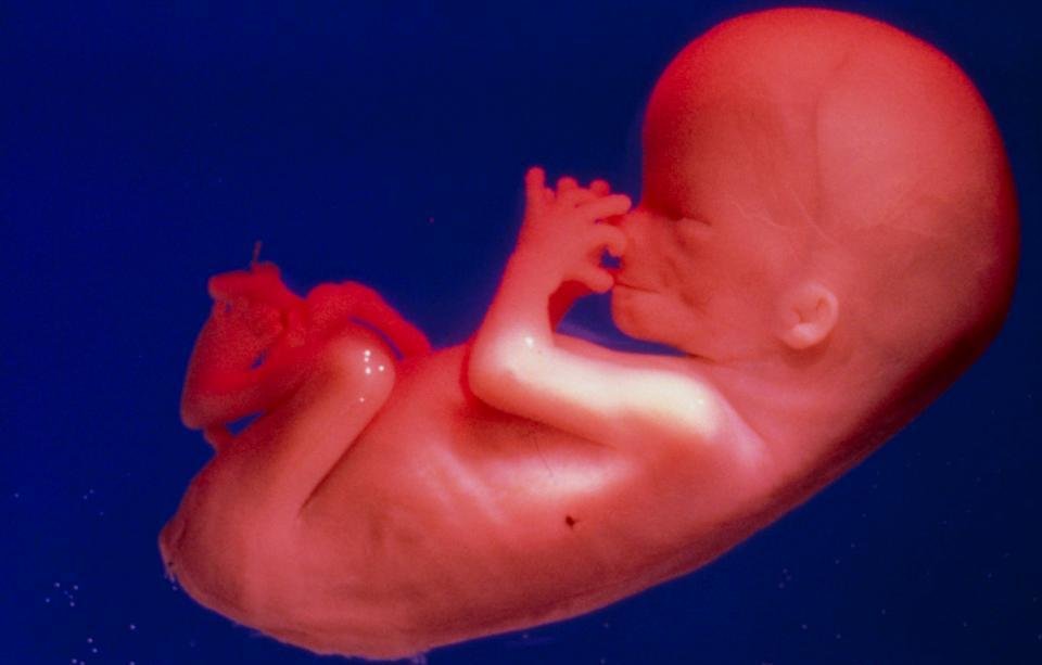 UK: Woman Arrested for Silently Praying Near Baby-Killing Facility