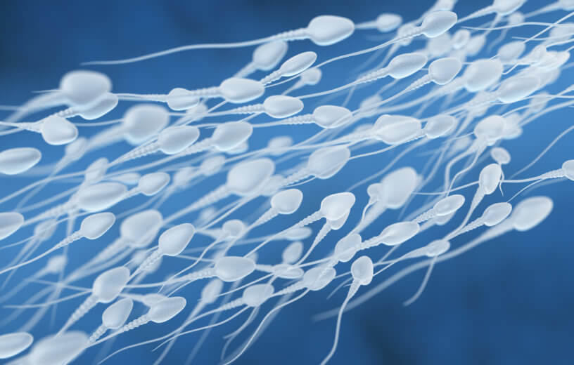 Coronavirus Lockdown Stress Can Alter Men’s Sperm and Affect Offspring