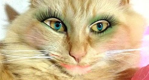 UK: Female Prison Officers Have Been Raped by Tranny Inmates, Former Prisons Minister Reveals