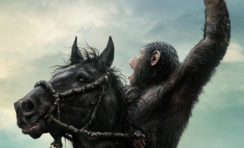 Houston: Caesar Leads Black Lives Matter Protesters on Horseback