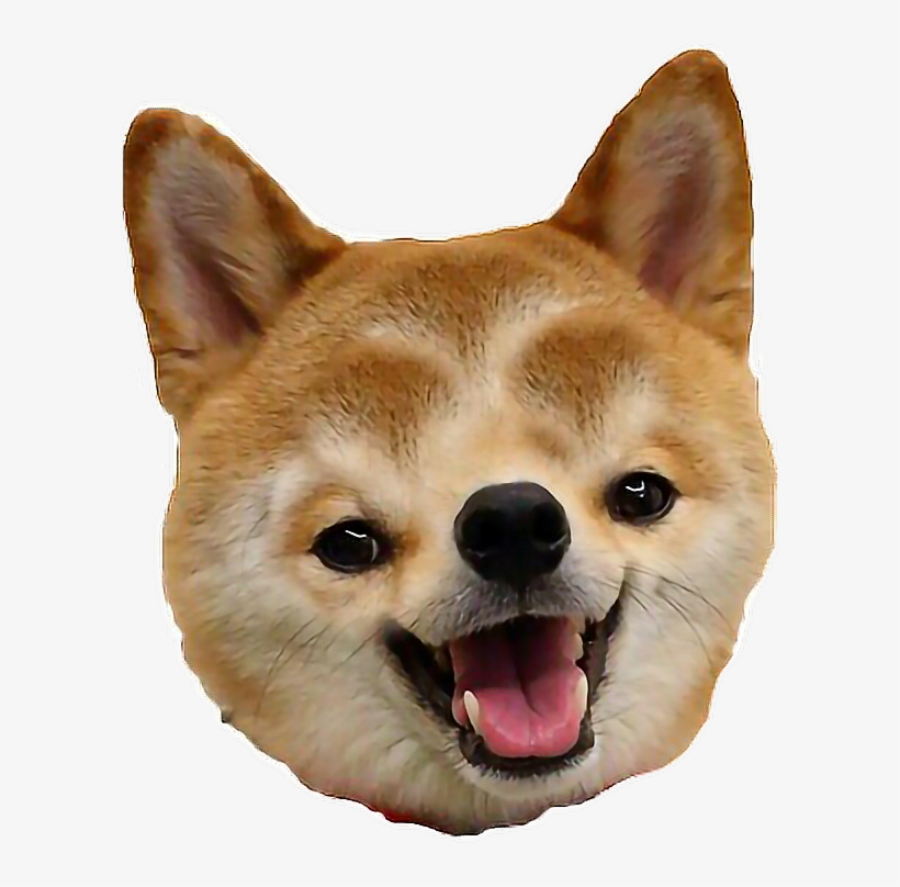 118-Year-Old Memorial for Dog Named “Nigger” is Removed from Graveyard