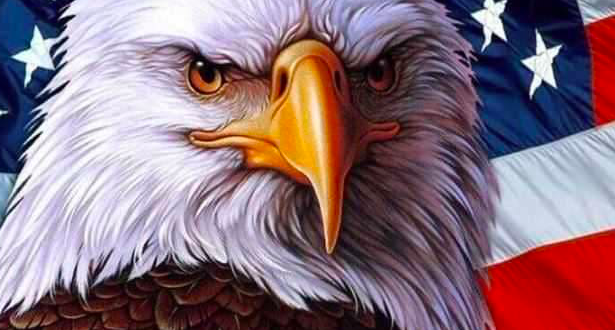 Happy Independence Day and Stormer Day