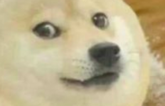 Google “Issue” Hides Conservative and Alternative Media Websites from Search Results