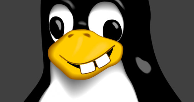 Linux Creator Finally Stops Killing Black People, Replaces Murderous Words in Coding Style Guide