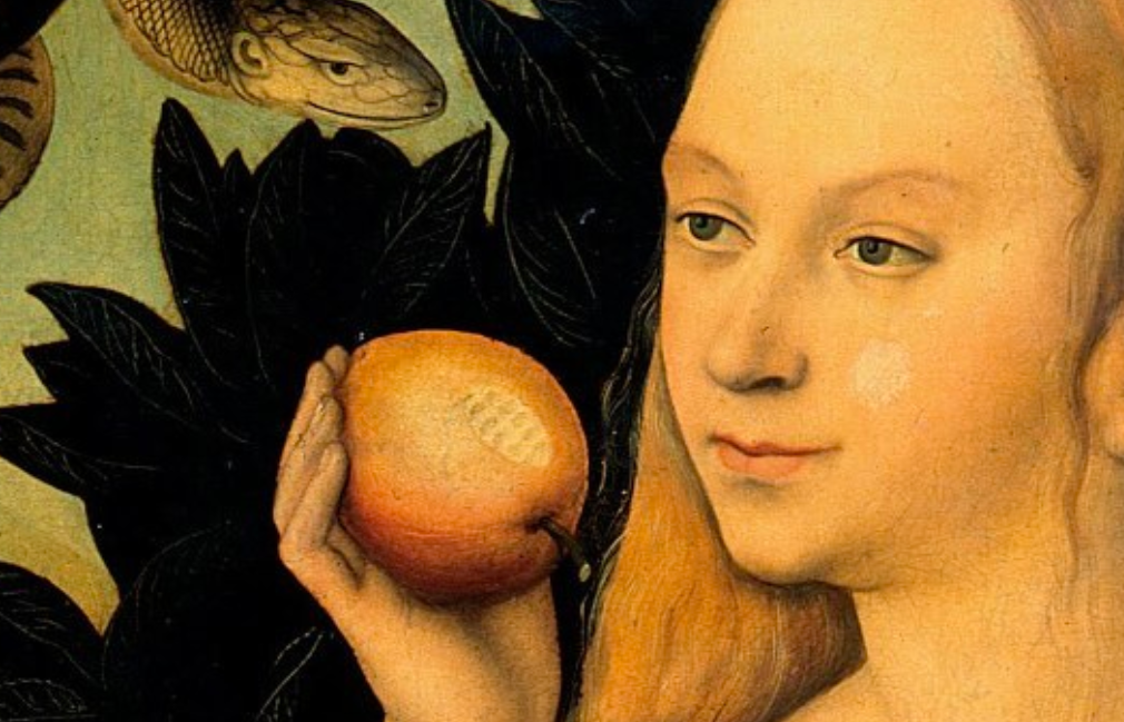 A Reader Comes to a Difficult Realization Regarding the Women in His Life