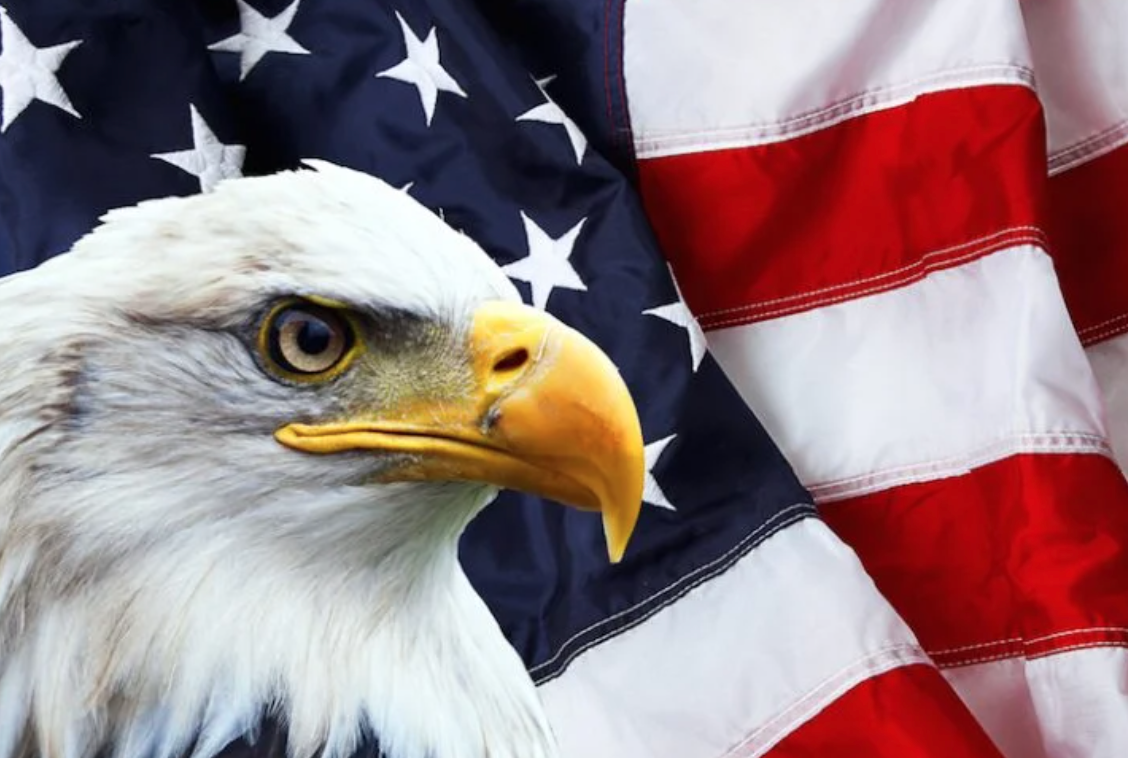 The Plan is Unfolding on Schedule: Texas GOP Calls for Secession!