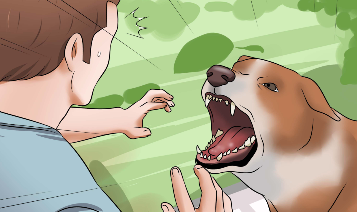 WHO Says Coronavirus Vaccines May Not Even Work, Warns Biggest Pandemic May be Yet to Come