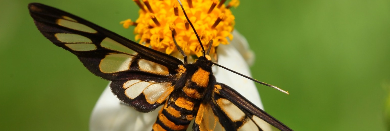 Global Warming is a Hoax and a Doomsday Cult and Your Masters Don’t Care About the Environment