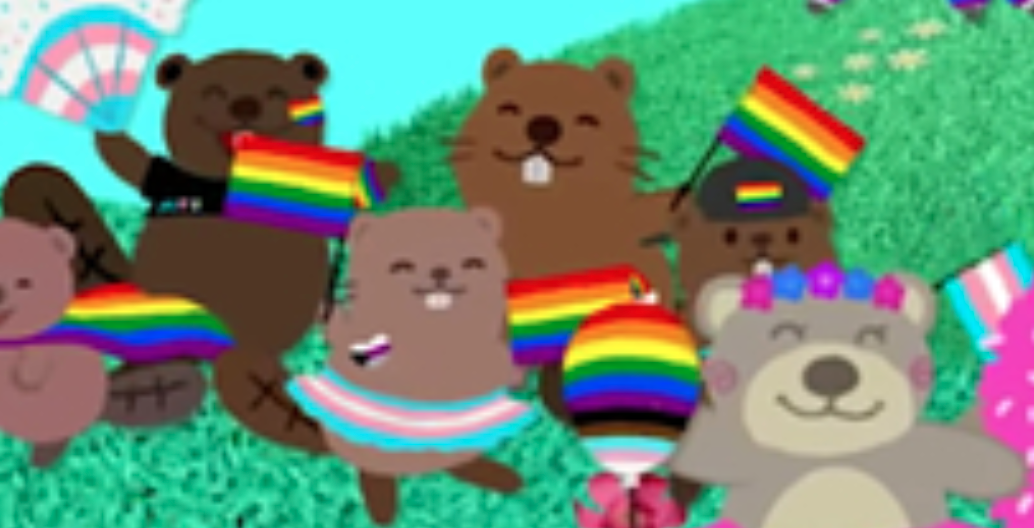 US Military Installations are Not Allowed to Fly Anal Flag, Pentagon Says