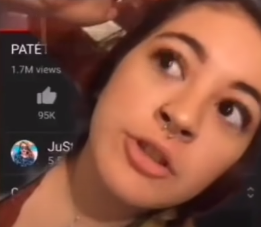 YouTuber Arrested After Slut-Shaming Slut by Showing Video Evidence of Slutness to Millions of Followers