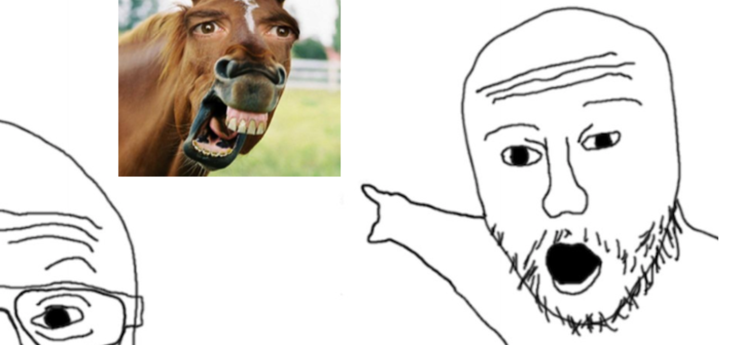 The Media is Just Openly Lying About Joe Rogan Taking “Horse Medicine”