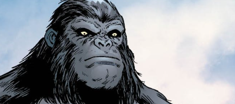 Atlanta: 13 Gorillas Test Positive for Coronavirus at Zoo! Gotta Vax ‘Em Up!