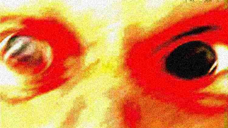 They’re Trying to Turn Your Food Into mRNA Vaccines Now! Viral Antigen Version Already on Testing Phase!