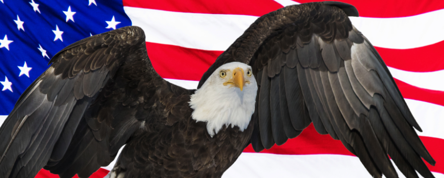 Nick Fuentes Joins Anti-Vax Protests in New York! Purebloods Rising!