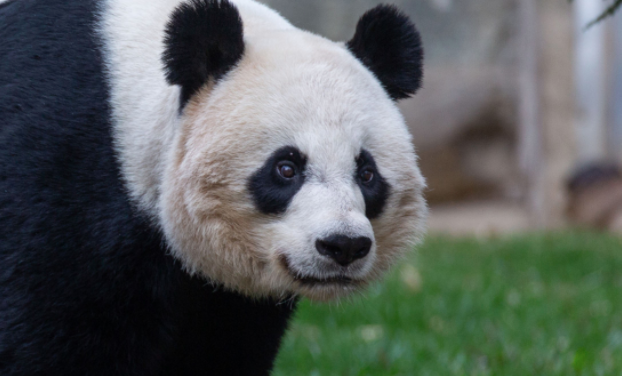 More Things That China Did Not Do to You