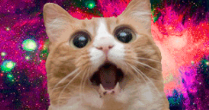 Caturday Disinformation Meme Mania