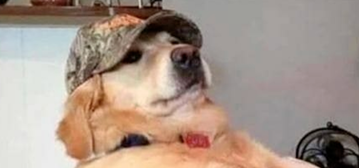 Mid-Week Meme Madness: I Have No Content