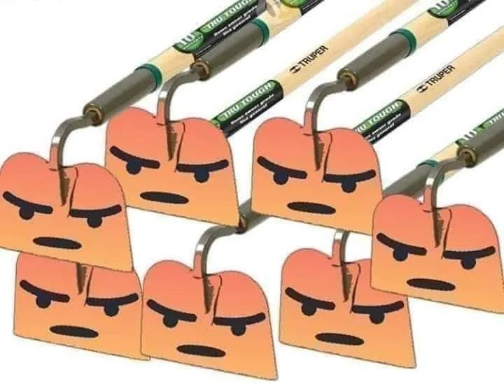 Memetic Monday: National Hoes Mad Meme Day