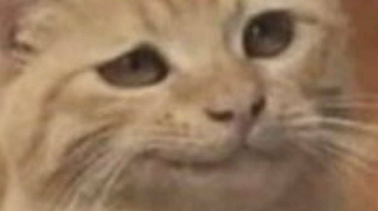 Midweek Meme Madness: Hope You Enjoyed Your Summer