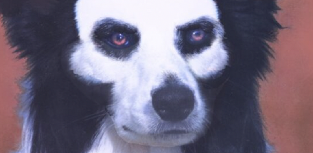 Memetic Monday: Y’all Poked the Bear for Too Long