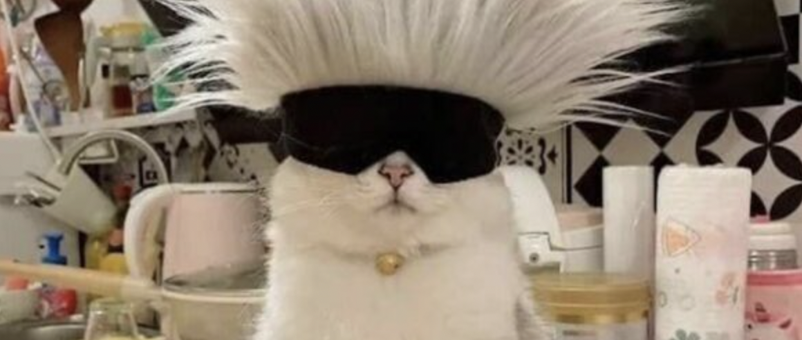 Memetic Monday: Tuesday Edition: Good Excuse Edition