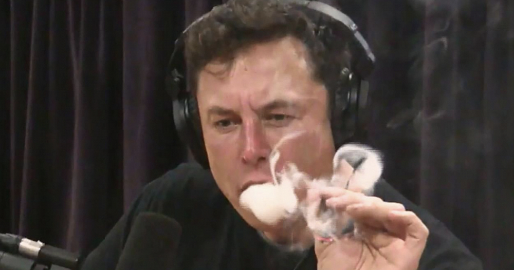 The Great Bamboozling: Elon Twists the Knife in My Back