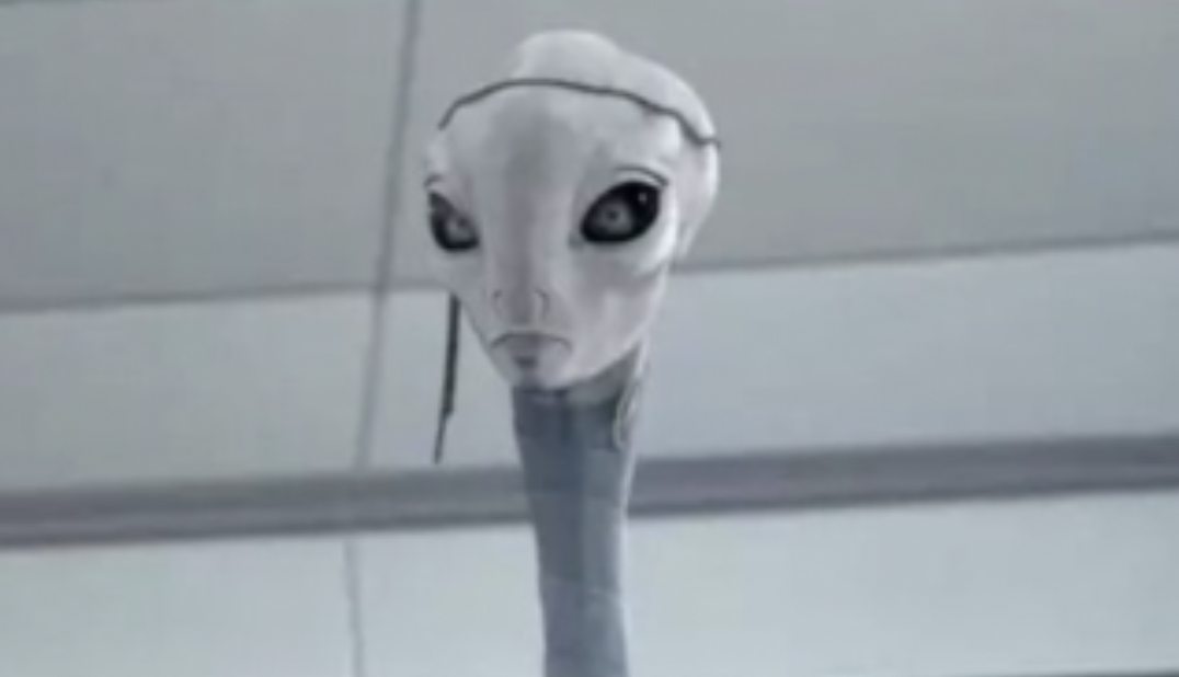 How Long is This Bitch’s Neck??