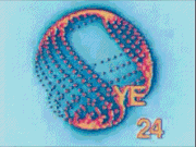 Memetic Monday: We Should be Happy