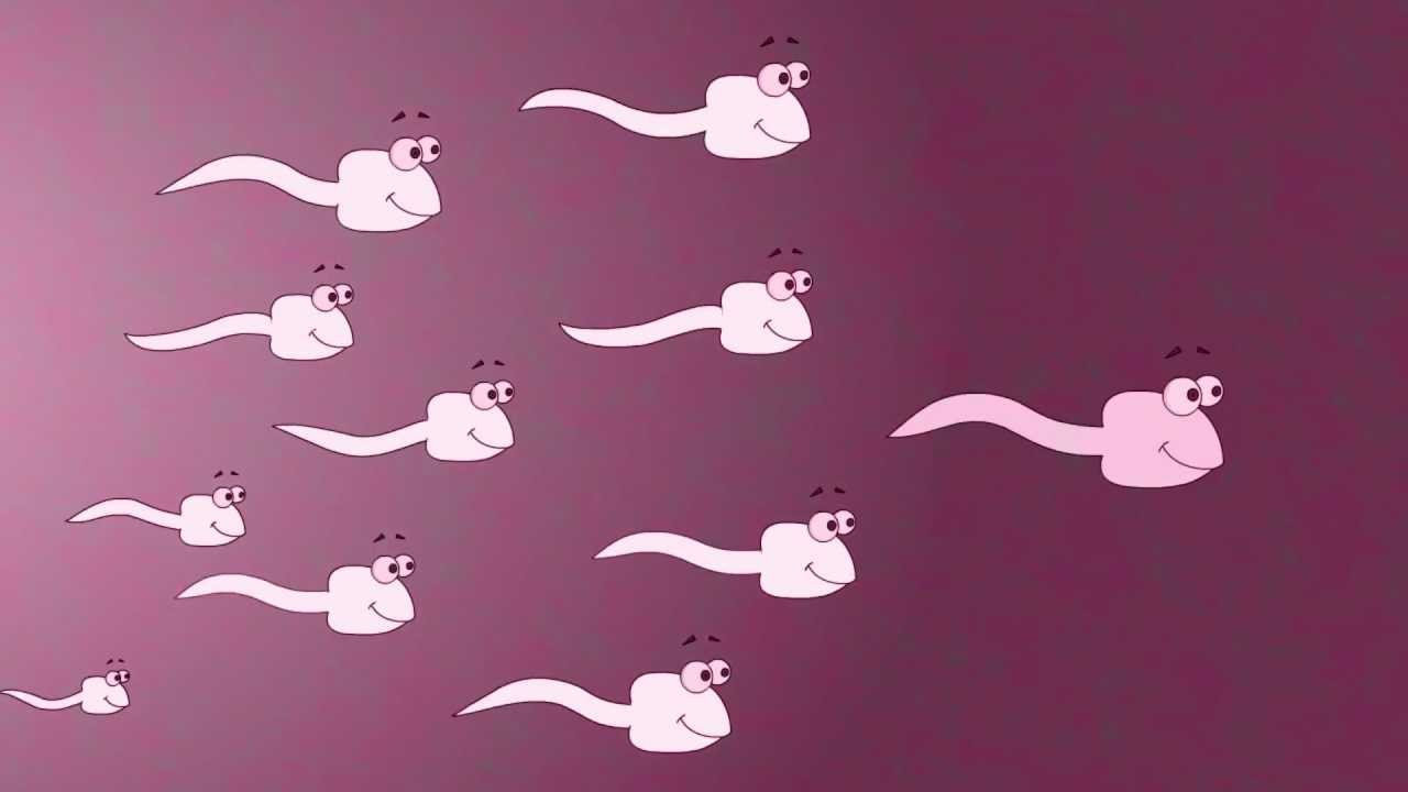 Sperm Count Drop is Accelerating Worldwide, Nobody Seems to Care