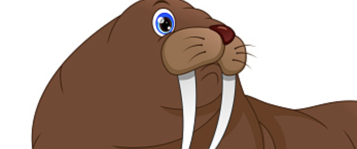 British Faggots Cancel New Year’s Fireworks So as to Not Disturb a Walrus