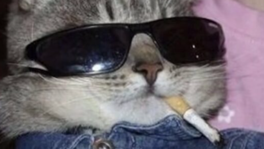 Memetic Monday: We Came Here to Win, We Didn’t Come for the Entertainment