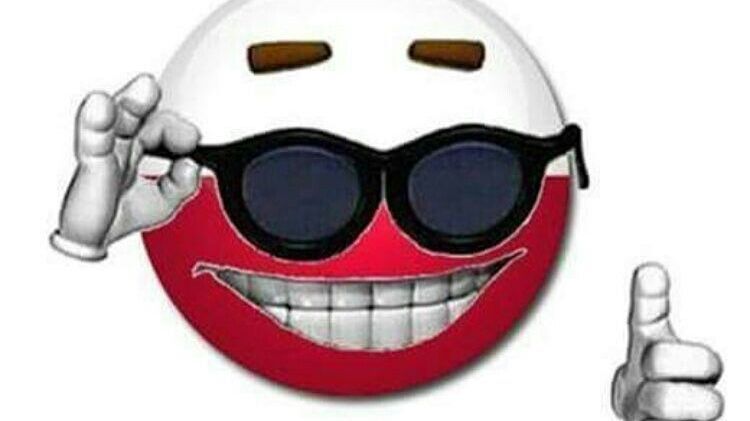 Poland: Government Plans Referendum on EU Invasion Pact