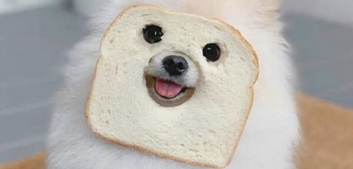 Memetic Monday: Them Niggas Out There be Off the Hook