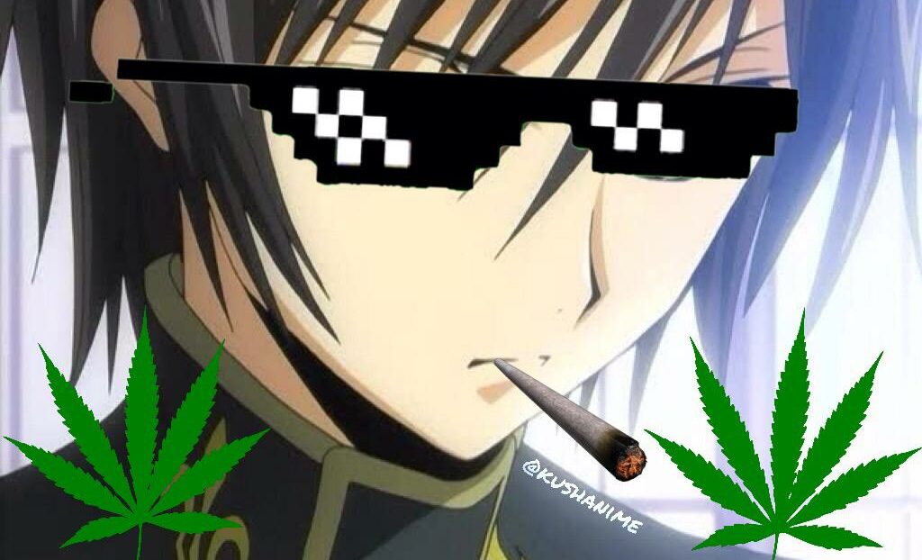 Study Says Teen Girls Smoking THC Might Get Their Egg Count Cut in Half