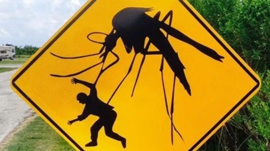 Using Soap Makes Humans Easier Targets for Mosquitos