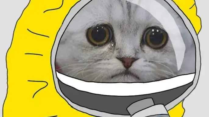 Children of Mothers Exposed to Ubiquitous Chemicals More Likely to be Obese Later in Life